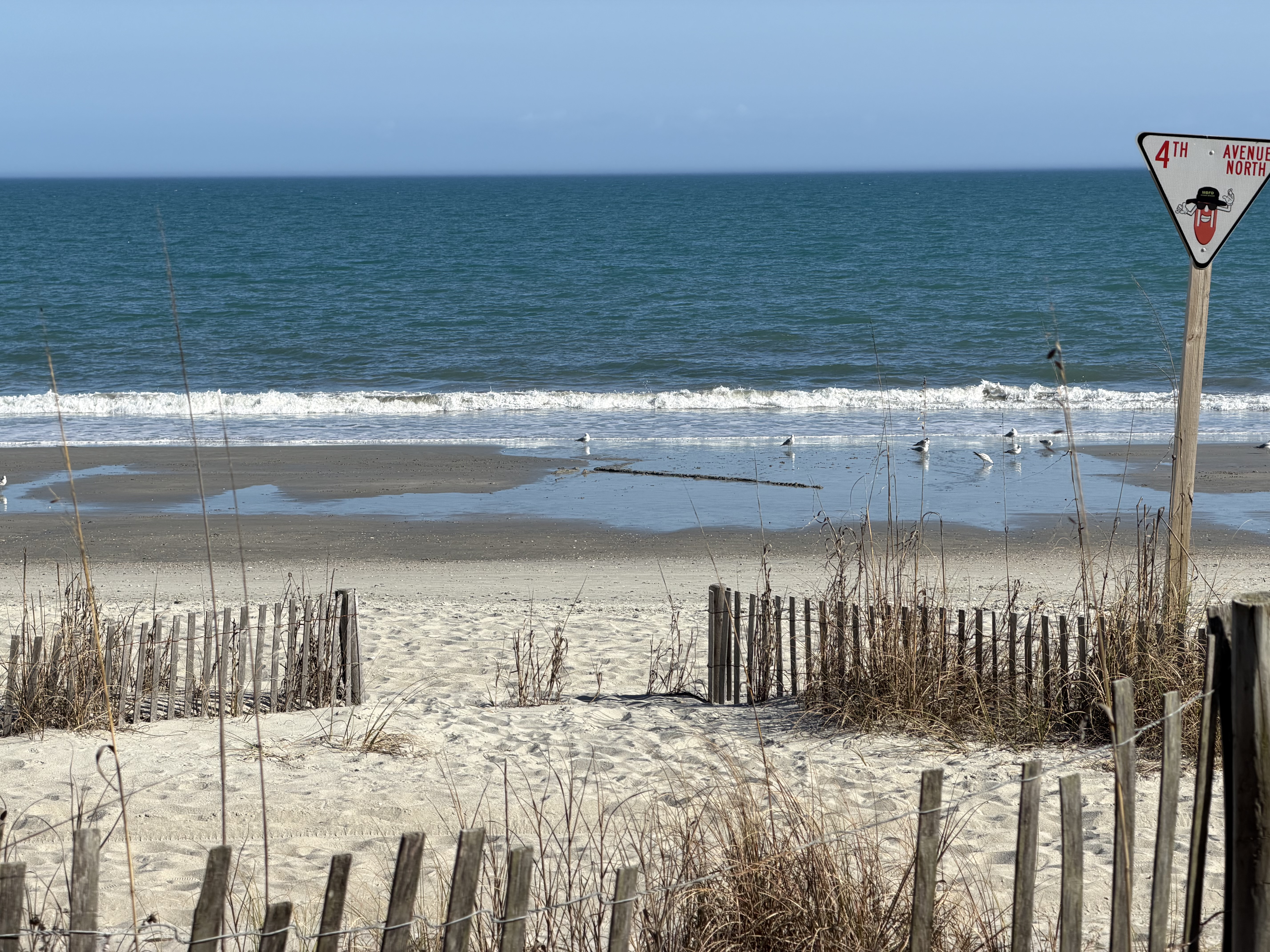 Matt Coneybeare - Marathon 42 - Myrtle Beach Marathon - Myrtle Beach, South Carolina - Oceanfront